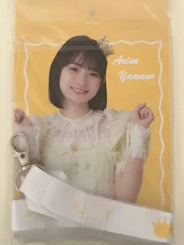 야마노 아이즈키 브로마이드 홀더