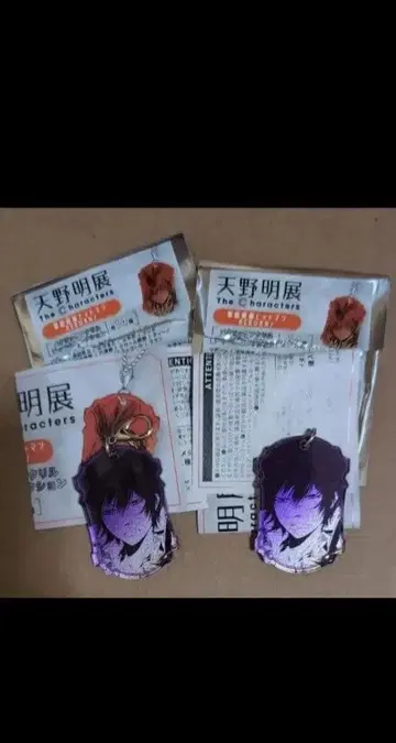 아마노 아키라 전시회 메탈릭 참 히바리 쿄야