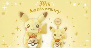 피카츄 30주년 기념 봉제 인형 세트
