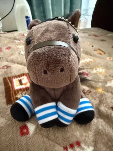 킹 카메하메하 아이돌 호스