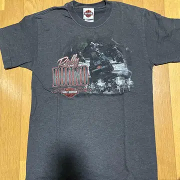 Harley-Davidson 티셔츠 S 사이즈
