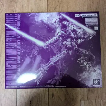 MG 1/100 건담 아스트레이 미라주 프레임 세컨드 이슈