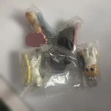 타이르는 고양이 마스코트 키링 캡슐 토이 세트