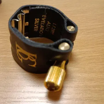 가격 인하! BG L12RC 알토 색소폰 리가춰 실버