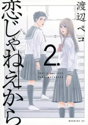 코단샤 모닝 KC 와타나베 페코 사랑이 아니니까 2