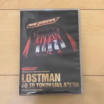 the pillows LOSTMAN GO TO YOKOHAMA ARENA