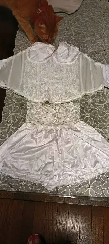 초특가 화이트 코르셋 이너