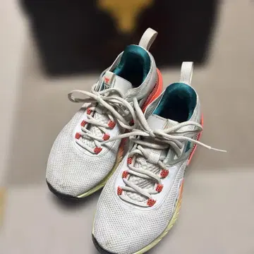 언더아머 x 드웨인 존슨 트레이닝 슈즈 24.5cm