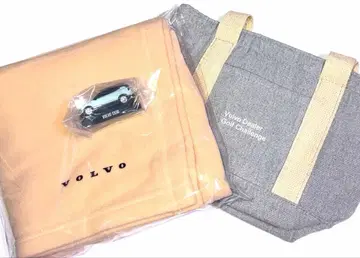 VOLVO EX30 미니카 담요 보냉백