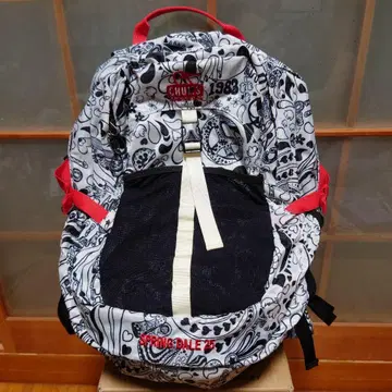 참스 스프링데일25 럭색 사이키 패턴 25L 새상품