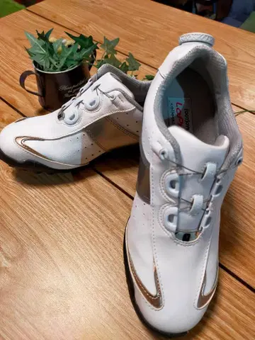 FootJoy LoPro 골프화 BOA