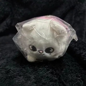 The Victory SKZOO 미니 백참 [지니렛]