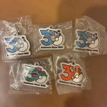 포켓몬 30주년 메탈 참