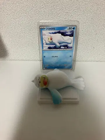 포켓몬 카드 & 피규어 컬렉션 파우와우