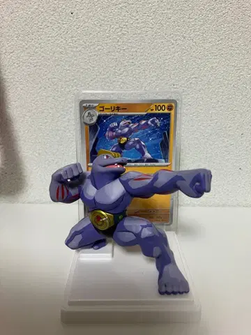 포켓몬 카드 & 피규어 컬렉션 고오리