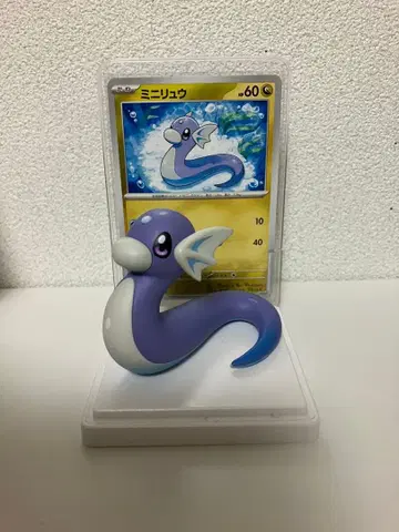 포켓몬 카드 & 피규어 컬렉션 미니 용