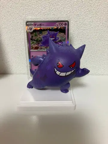 포켓몬 카드 & 피규어 컬렉션 겐가