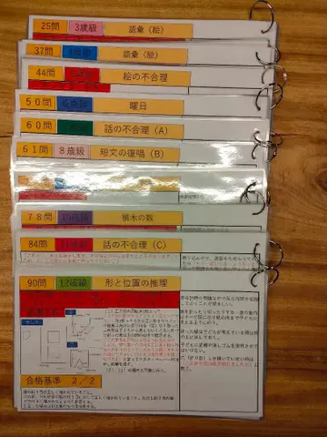 다나카 비네 지능 검사 V 검사 진행 시트 3세급~12세급 세트