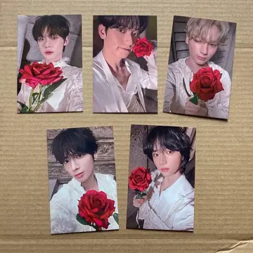 TXT Tomorrow 사전 수록 한정판 트레이딩 카드 5장