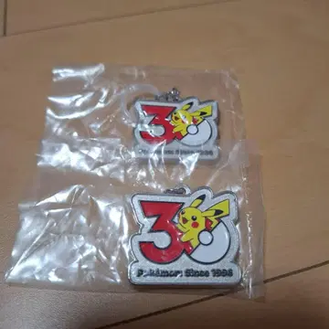 포켓몬 30주년 메탈 참 마스코트 피카츄 2개 세트