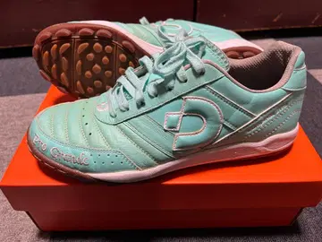 데스포르치 별주 칸피나스 JTF5