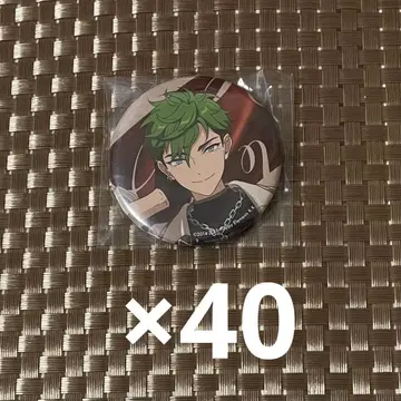 앙스타 MELLOW DEAR US 메로아스 코지카 주이스 캔뱃지 40점