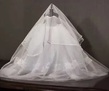 잡화 포함 아름다운 웨딩 드레스 리카짱 바비짱 인형용