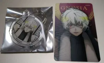 그노시아 가라오케의 철인 레무난 세트