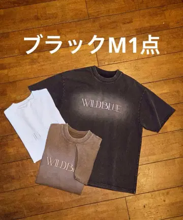 WILDBLUE x WEGO 티셔츠 블랙 M