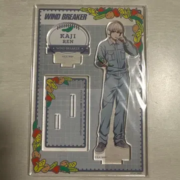 WIND BREAKER 카지 렌