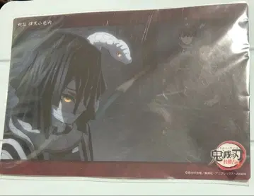 귀멸의 칼날 이구로 오바나이 빅 클리어 카드 주 합숙