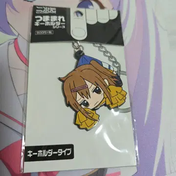 중2병이라도 사랑이 하고 싶어 쯘쯰 러버 키링 니부타니 신나