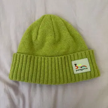 patagonia 라임 그린 니트 모자