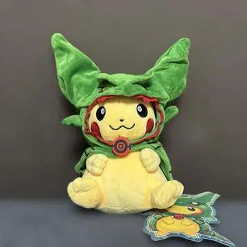 포켓몬 레쿠자의 판초를 입은 피카츄