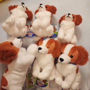 코이케루혼디에의 오데코짱 오스와리 6세트 오타니 쇼헤이