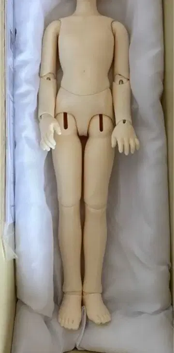 보크스 슈퍼돌피 코디네이트 모델 SDM 화이트 스킨