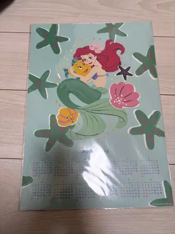 인어공주 2023.2024년