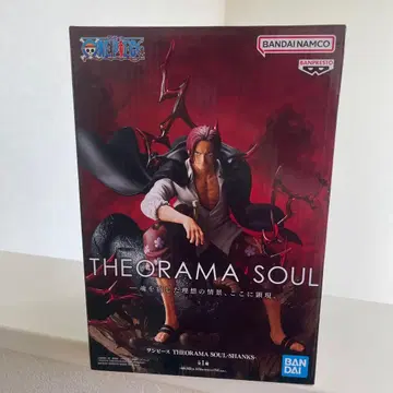 THEORAMA SOUL SHANKS