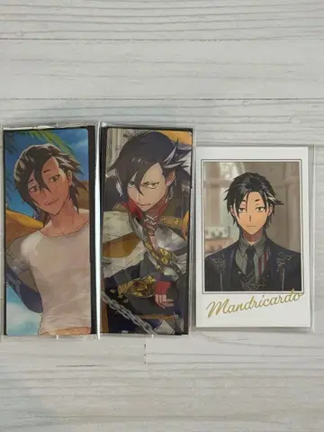 마안드리카르도 FGO 최종 재림전 편성 화면풍 fes 2025 포트레이트