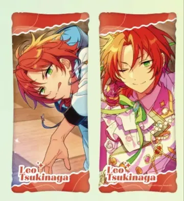 츠키나가 레오 빅 쿠션 GIGO 앙스타 프라이스