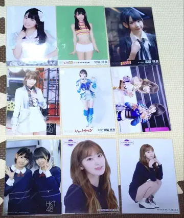 미야와키 사쿠라 사진 모음 9장