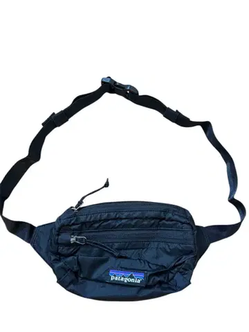 patagonia 라이트웨이트 미니 힙백