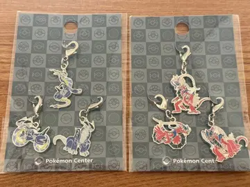 포켓몬 전국도감 메탈참 1007 1008 미라이돈 콜라이돈