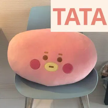 TATA 대형 봉제 인형