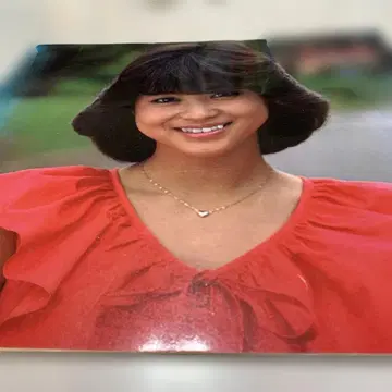 마츠다 세이코 아이돌 포트레이트 사진 빨간색 블라우스 가격 인하