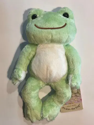[ 새상품 ] 베이직 개구리 피클스 빈 인형