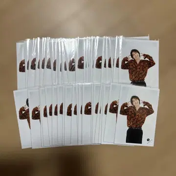 Snow Man 사쿠마 다이스케 공식 사진 묶음 판매 50장 세트 J로고