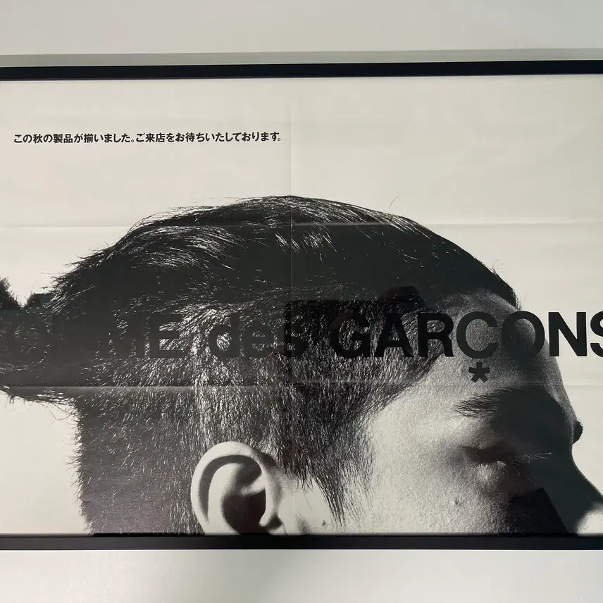 ガムデガルソン COMME des GARCONS アートフォト AD1991