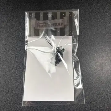 RIIZE 원빈 fame 폰 스트랩 키링 미사용 새상품