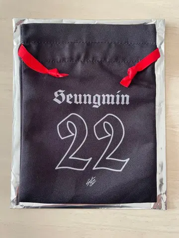 Stray Kids VR 랜덤 복조리 파우치 승민 22